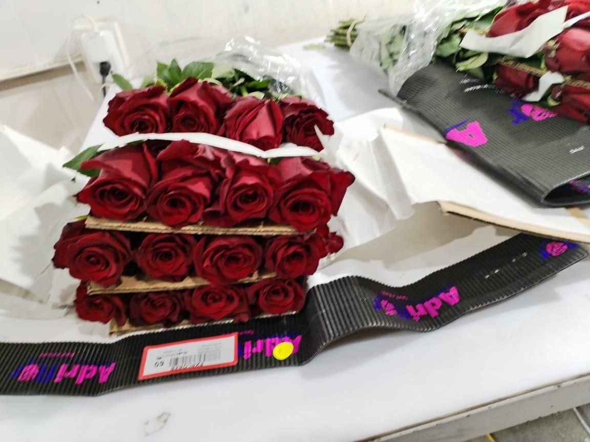 Rose Explorer 50 A1 ADRIFLOR EC buy wholesale on M-Flowers