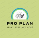 Pro Plan