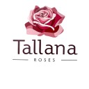 TALLANA ROSES