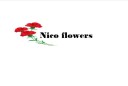 NICO FLOWERS