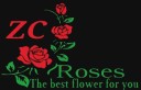 ZC ROSES
