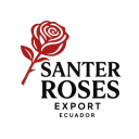 SANTER ROSES EXPORT