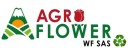 AGROFLOWER WF SAS