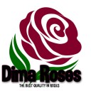 Dima Roses