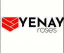 Yenay Roses