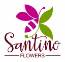 AGRICOLA SANTINO FLOWERS CIA.LTDA