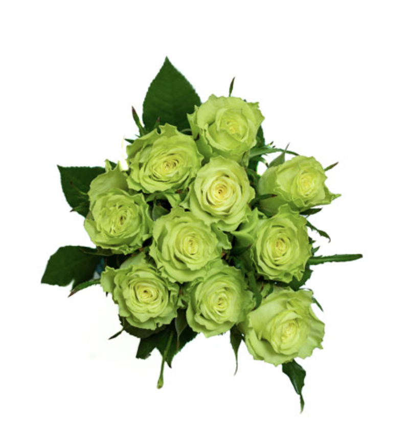 Rose Camouflage 40 A1 SIERRA FLORA LIMITED KE купить оптом на M-Flowers