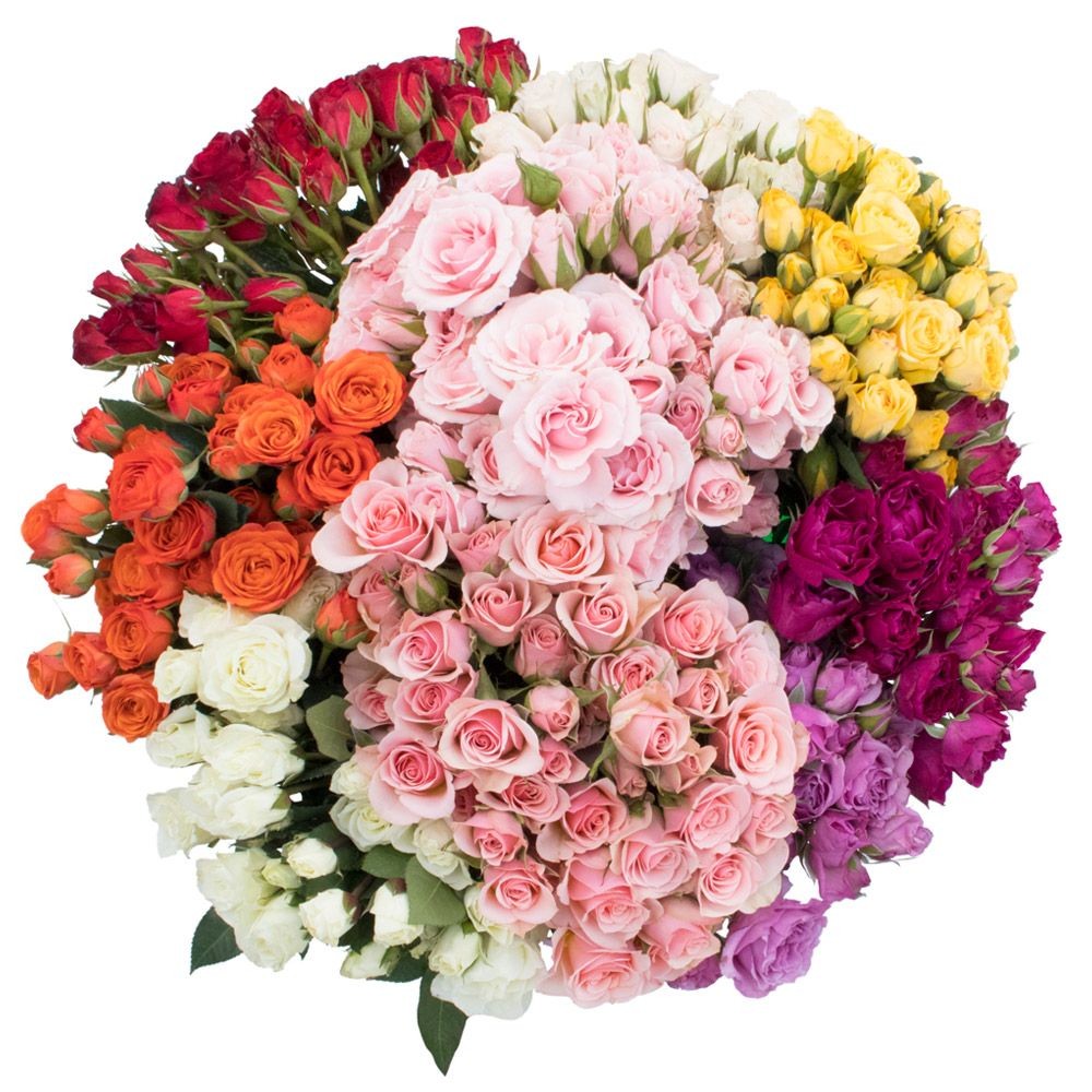 Spray roses Mix Premium 40 A1 FRESH EXCHANGE FZCO KE buy wholesale on M-Flowers