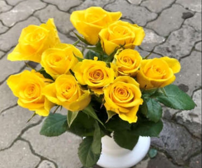 Rose Weaver yellow 40 A1 Eco Roses Rose Weaver 40 A1 GOLDEN TULIP FARMS LIMITED KE comprar al por mayor en M-Flowers