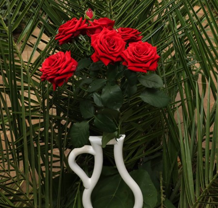 Garden Spray Rose Vermillion Granite red 70 A1 Red Lands Roses Kenya buy wholesale on M-Flowers