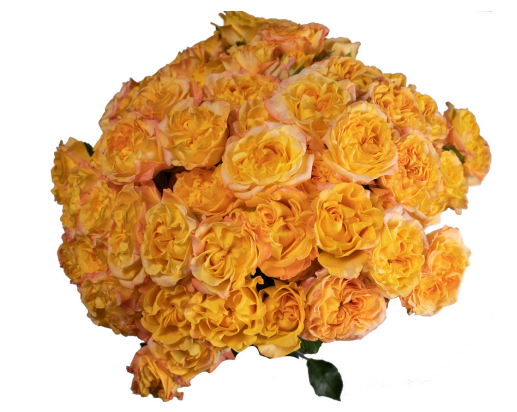 Garden Spray Rose Eternal Flame orange 50 A1 FRESH EXCHANGE FZCO Kenya buy wholesale on M-Flowers