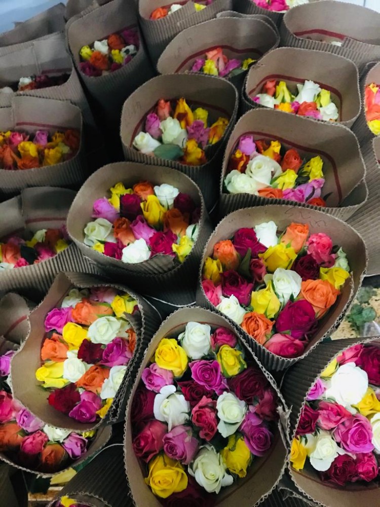 Rose Rainbow Mix multicolor 40 A1 Hanna Roses Kenya comprar al por mayor en M-Flowers