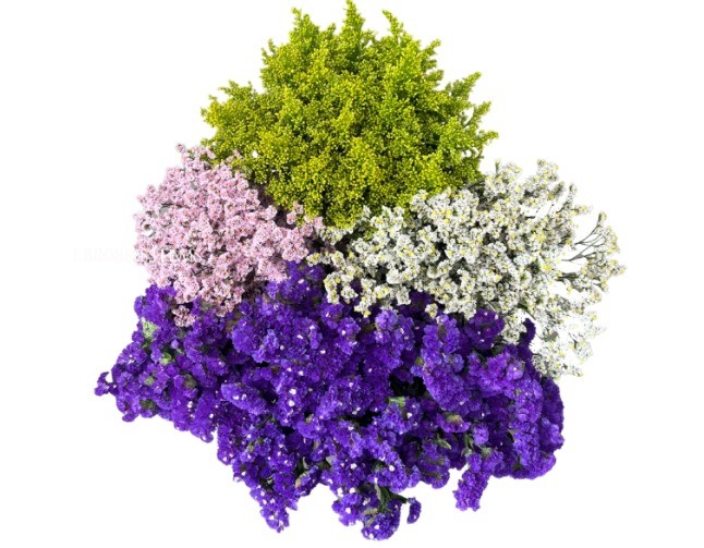 Filler Flowers Mix 60 A1 Plazoleta CO buy wholesale on M-Flowers