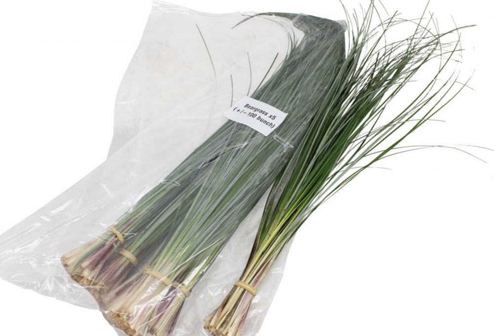 Groen Beargrass vaccum green 60 A1 Best Greens Netherlands buy wholesale on M-Flowers