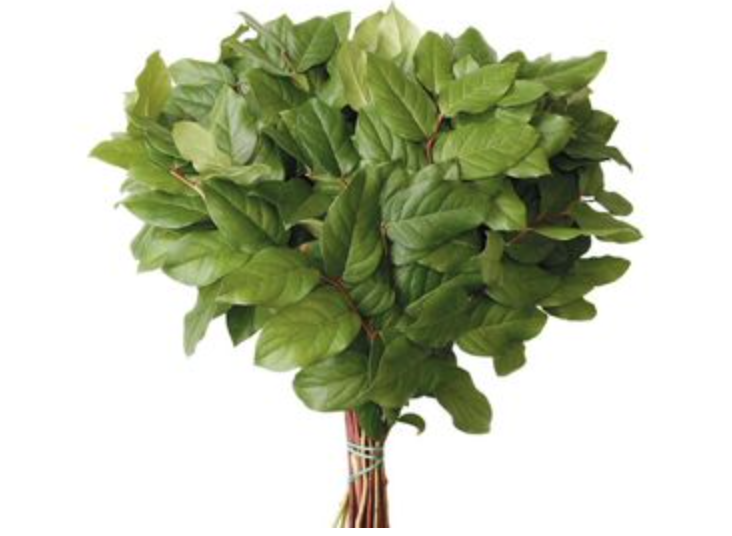 Groen Salal Long 60 A1 Best Greens NL buy wholesale on M-Flowers