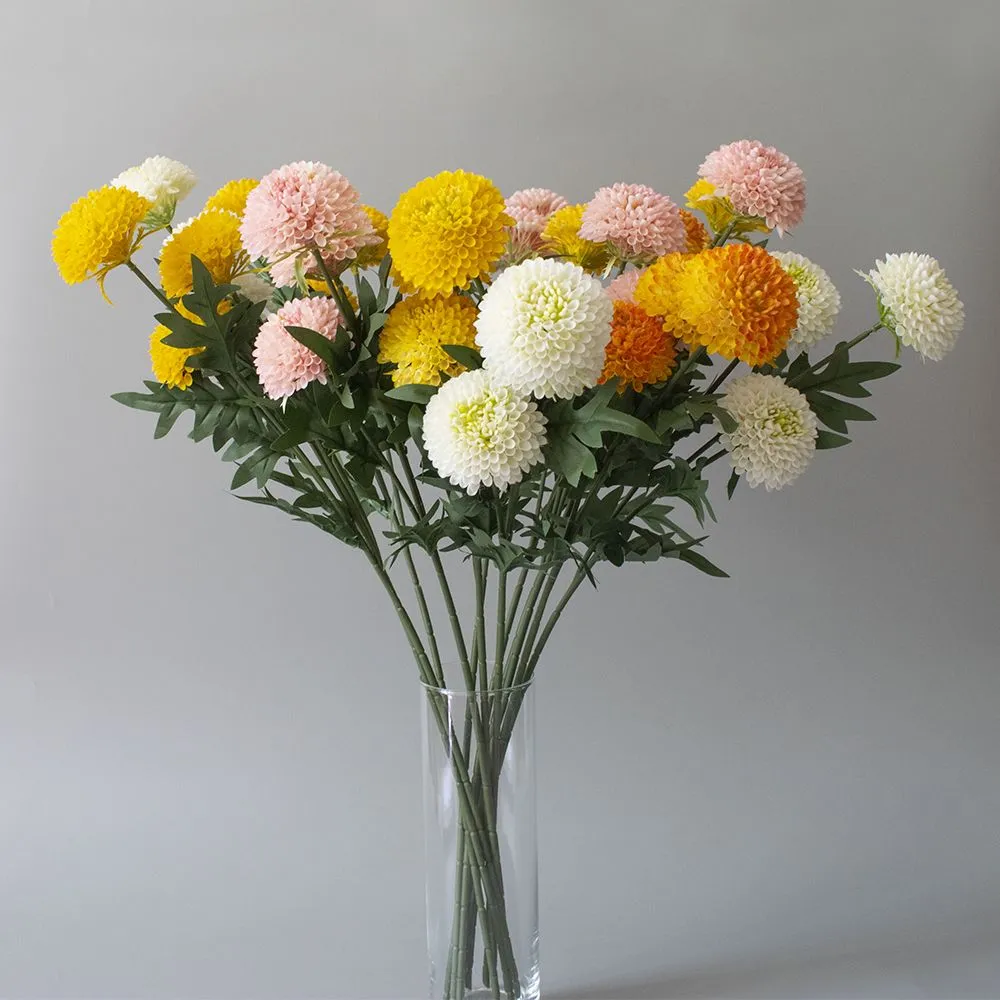 Standard Chrysanthemum POMPON MIX 70 A1 QUALIFERUS RU buy wholesale on M-Flowers