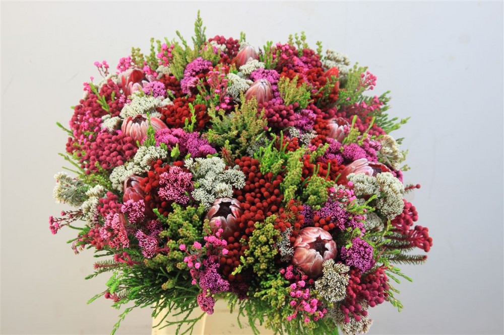 Groen Protea Boeket multicolor 40 A1 Best Greens Netherlands buy wholesale on M-Flowers