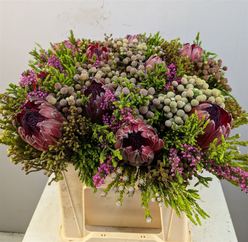 Groen Protea Boeket Naturel 40 A1 Best Greens NL buy wholesale on M-Flowers