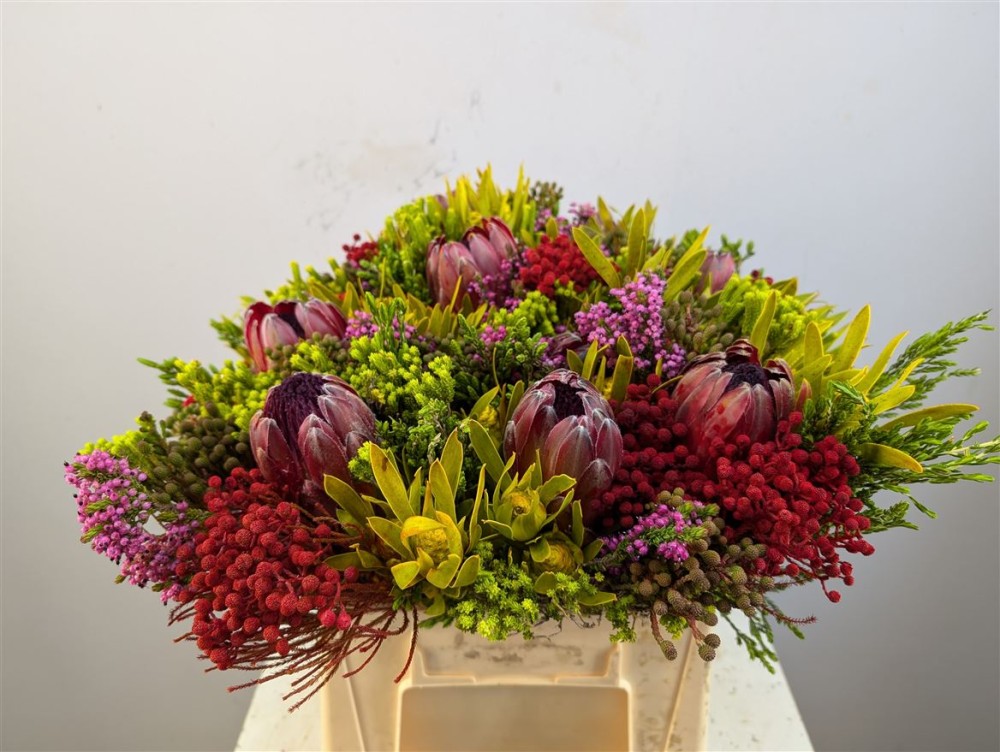 Groen Protea Boeket Tinted 40 A1 Best Greens NL buy wholesale on M-Flowers