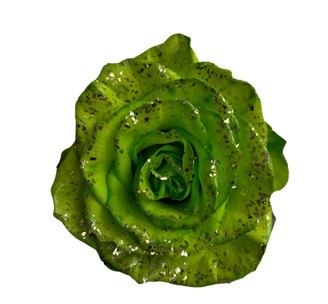 Rose Lime Crystal multicolor 50 A1 Cantiza Ecuador comprar al por mayor en M-Flowers