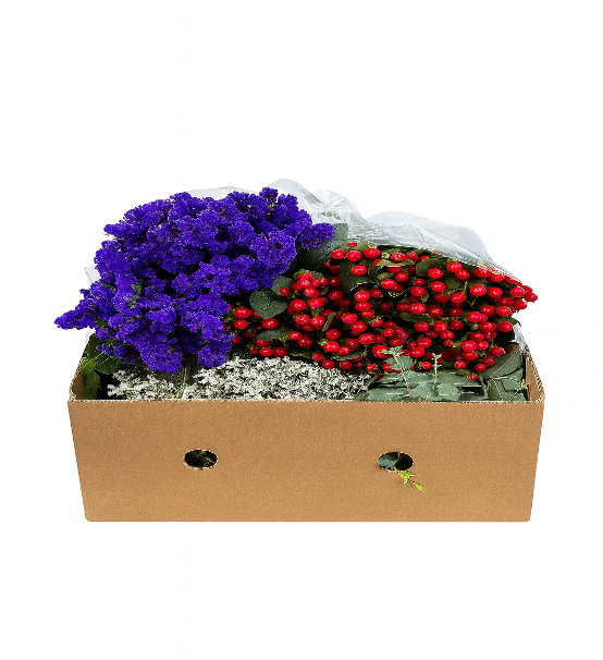 Groen Mix Shop 75 A1 QUALIFERUS RU купить оптом на M-Flowers