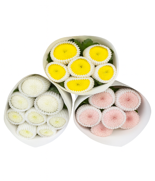 Chr G Pompon Mum Mix 70 A1 QUALIFERUS RU comprar al por mayor en M-Flowers