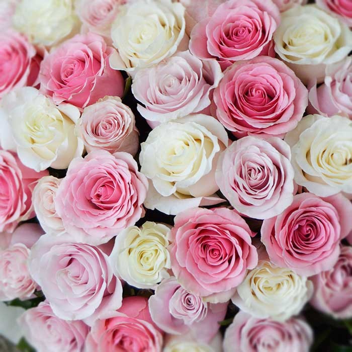Rose Wedding mix 50 A1 M-FLOWERS EC EC buy wholesale on M-Flowers