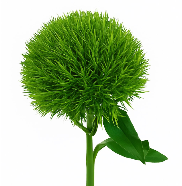 Carnation Green Trick green 65 A1 QUALIFERUS Russia купить оптом на M-Flowers