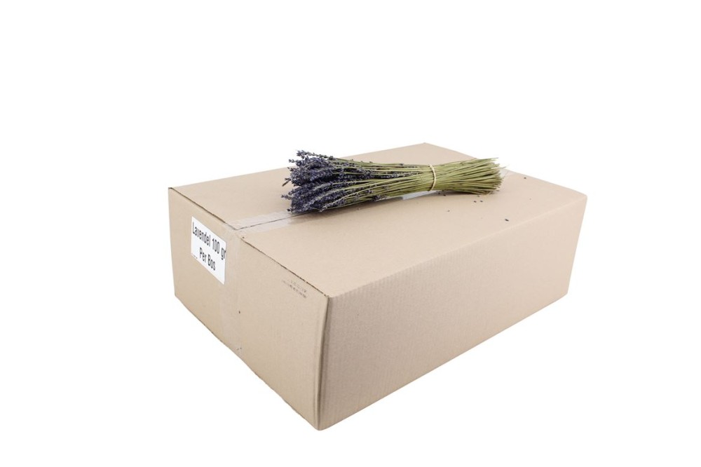 Groen Lavendel 55 A1 Best Greens NL buy wholesale on M-Flowers