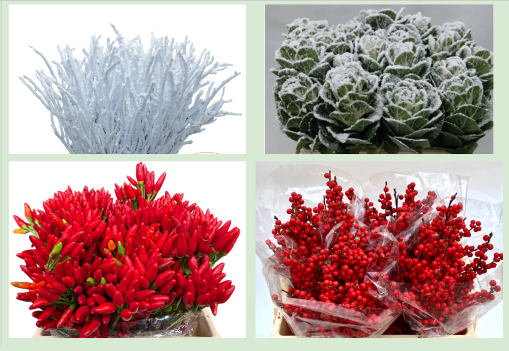 Greens New Year's box mix 60 A1 Growers NED NL buy wholesale on M-Flowers