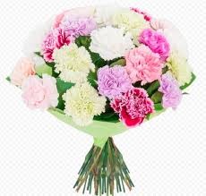 Mini Carnation Mix Pastel 70 A1 Florigene CO buy wholesale on M-Flowers