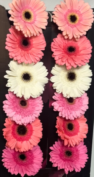 Ge Gr Pink & Passion Mix 45 A1 Florein NL buy wholesale on M-Flowers